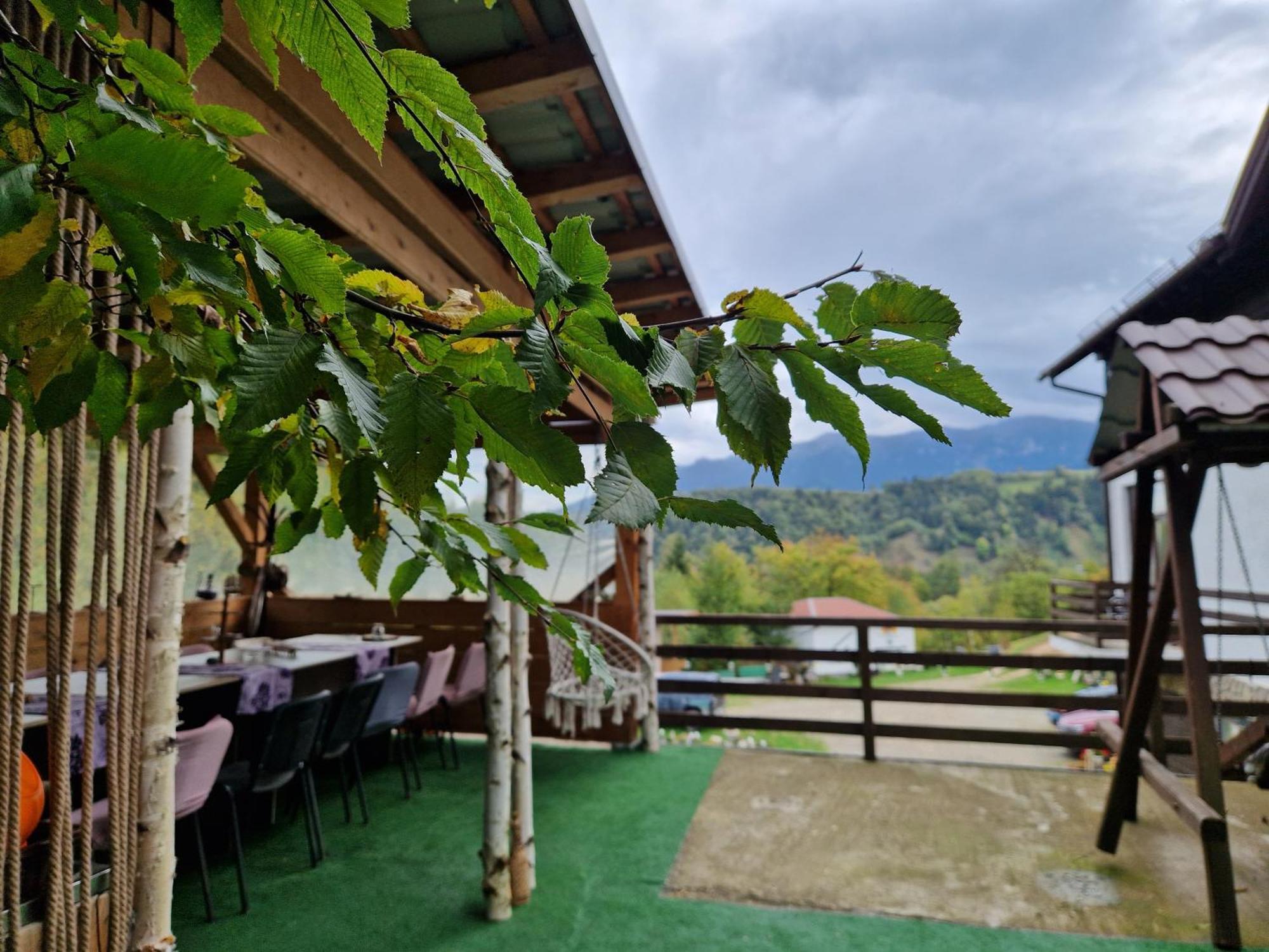 Glasul Pădurii Moieciu de Jos Exterior foto