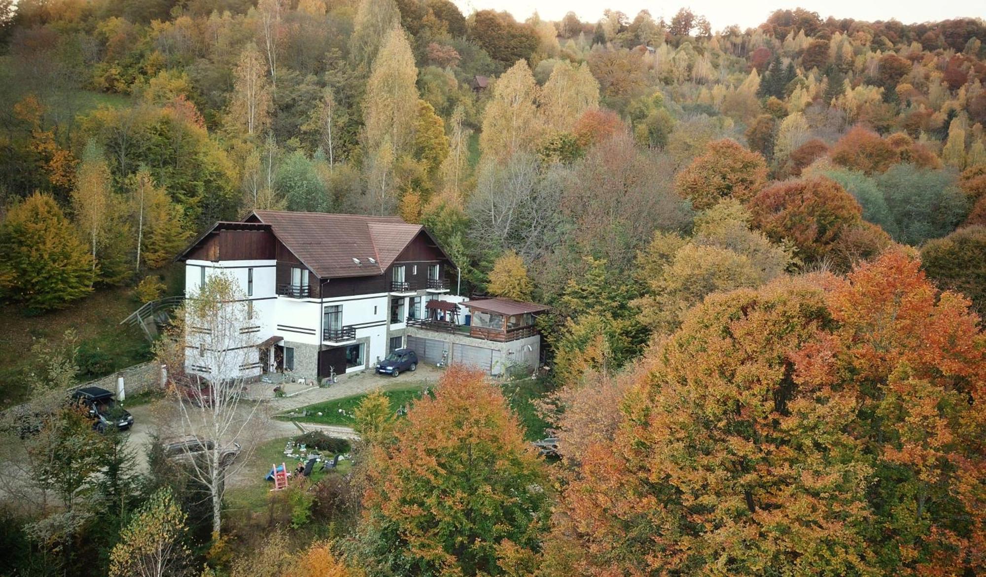 Glasul Pădurii Moieciu de Jos Exterior foto