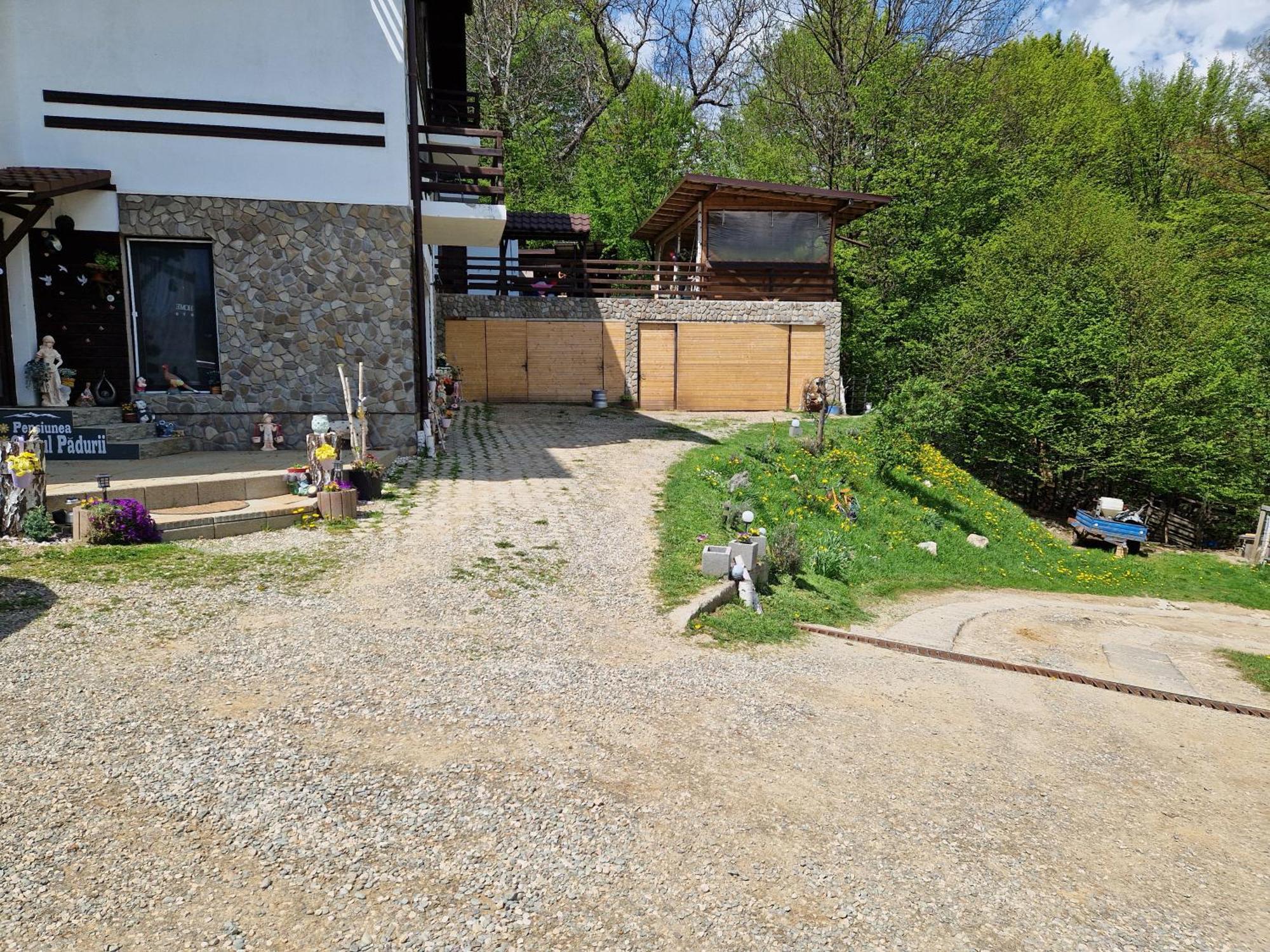 Glasul Pădurii Moieciu de Jos Exterior foto